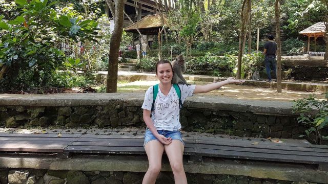 88240_bali-ubud-maymun-bah231esi-monkey-garden.jpg